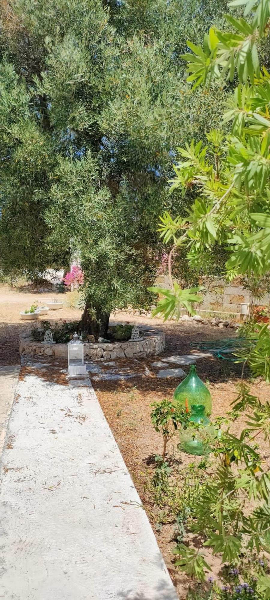 Trullo Alessandro E Villa Raffaela San Vito dei Normanni Zimmer foto