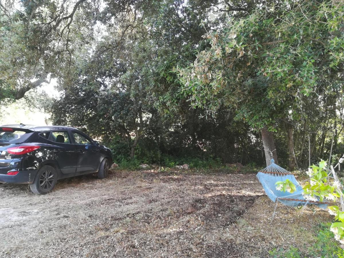 Trullo Alessandro E Villa Raffaela San Vito dei Normanni Exterior foto